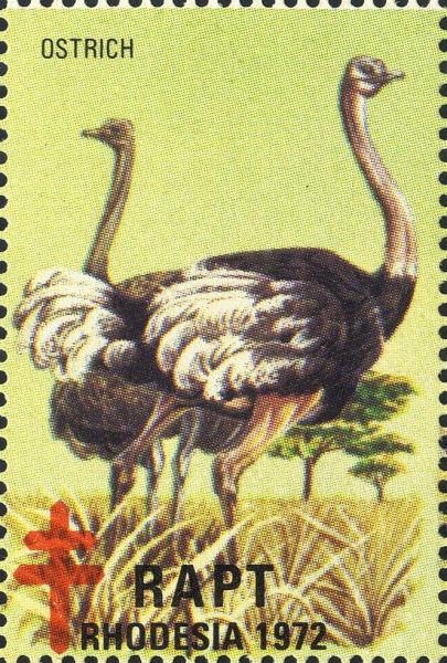 Datei:Vgn rhzw wsm1972.5.big.jpg