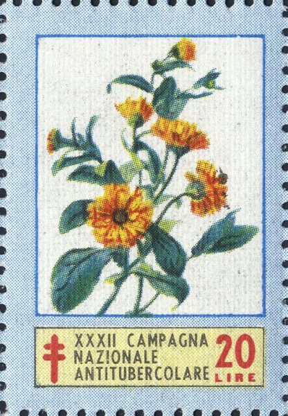 Datei:Vgn ita wsm1969.2.f3.big.jpg