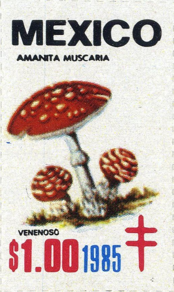 Datei:Vgn mex wsm1985.2.big.jpg
