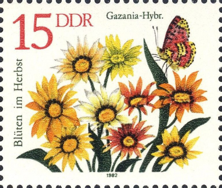Datei:Ddr2739.3.big.jpg