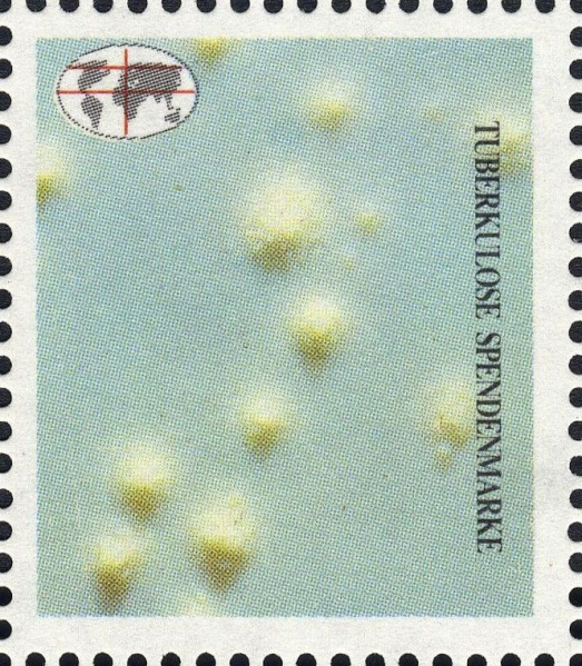 Datei:Vgn bnd wsm1990.1.f2.big.jpg