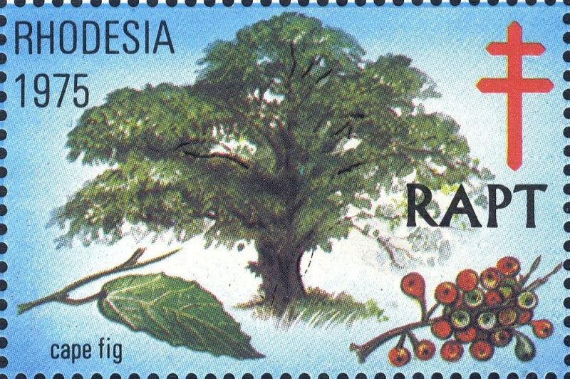 Datei:Vgn rhzw wsm1975.2.big.jpg