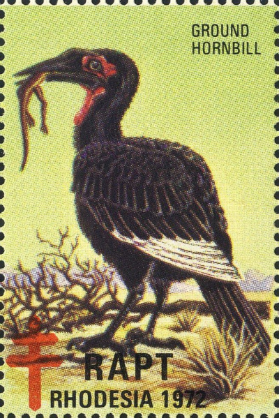 Datei:Vgn rhzw wsm1972.5.f2.big.jpg