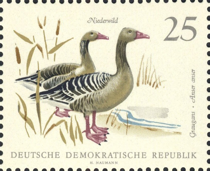 Datei:Ddr1360.1.big.jpg