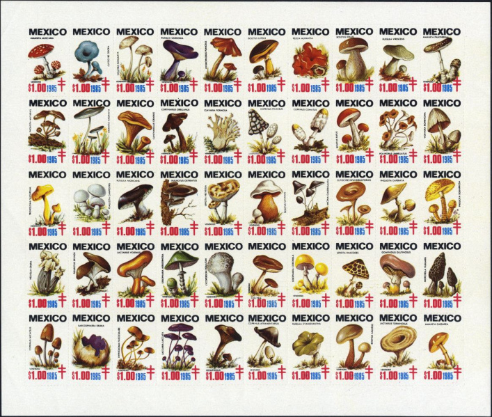 Datei:Vgn mex wsm1985.2.small bg1.jpg