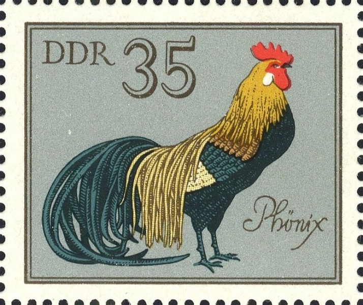 Datei:Ddr2398.1.big.jpg