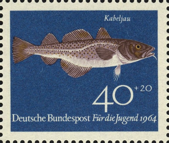 Datei:Bnd0415.1.big.jpg