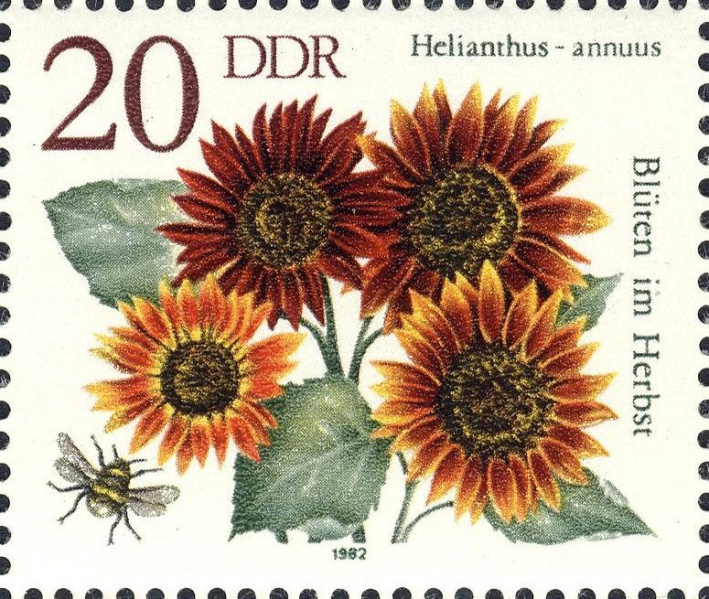 Datei:Ddr2740.1.big.jpg