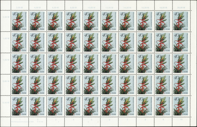 Datei:Ddr3151.1js.small bg1.jpg