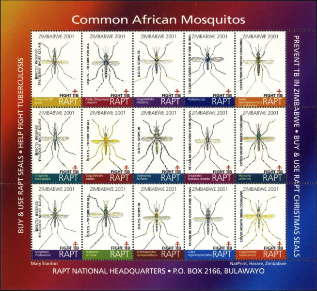 Datei:Vgn rhzw wsm2001.1.small bg1.jpg