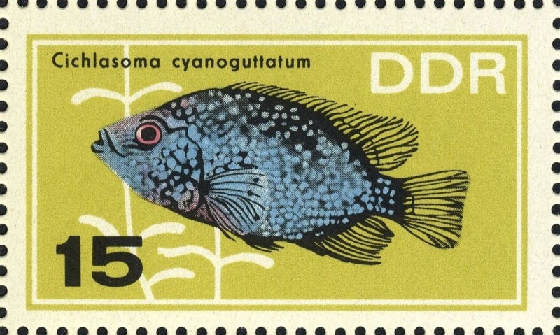Datei:Ddr1223.1.big.jpg