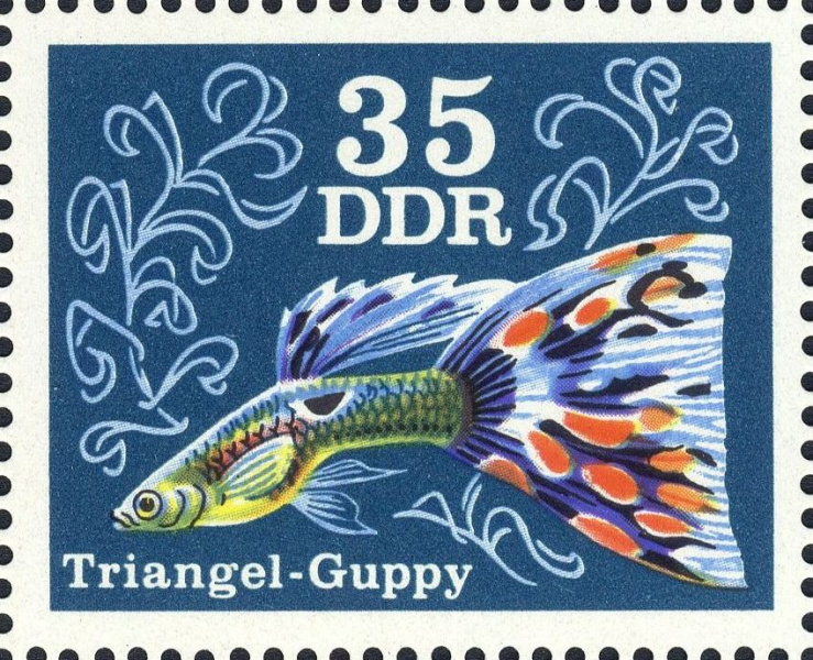 Datei:Ddr2180.2.big.jpg