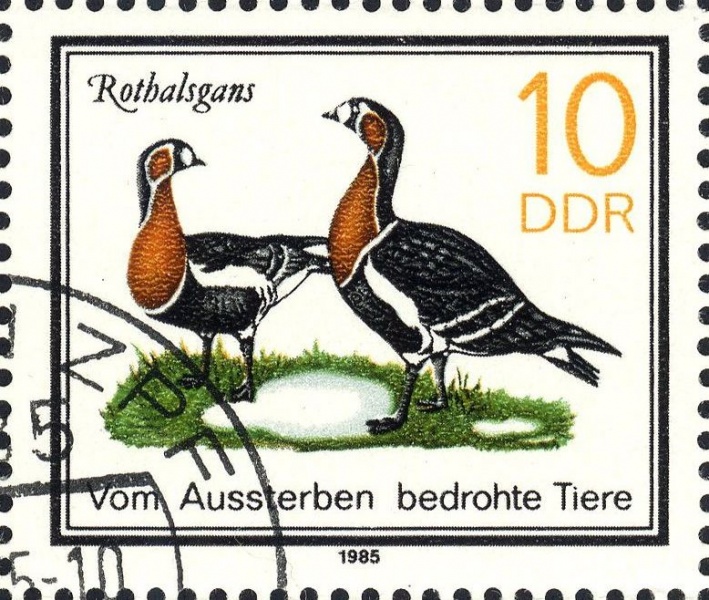 Datei:Ddr2953.1.big.jpg