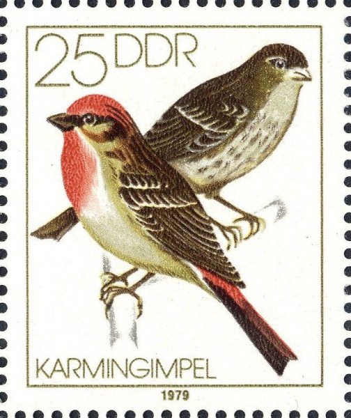 Datei:Ddr2391.1.big.jpg