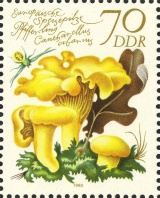 MiNr. 2556