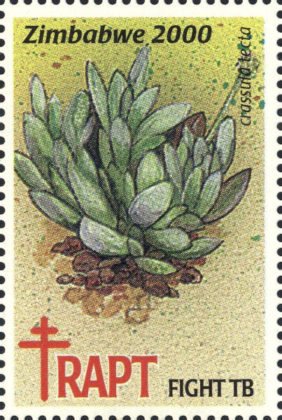 Datei:Vgn rhzw wsm2000.1.f2.big.jpg