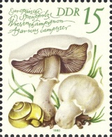 MiNr. 2553