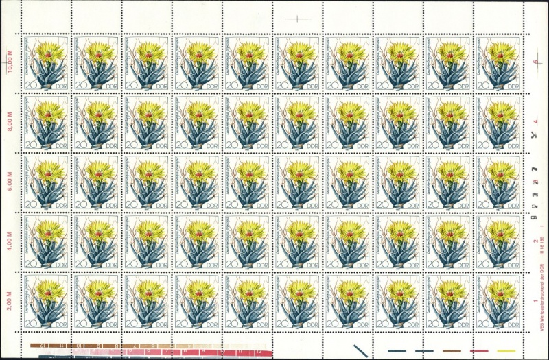 Datei:Ddr2804.1.small bg1.jpg