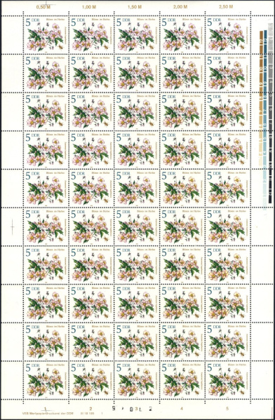 Datei:Ddr2737.4.small bg1.jpg