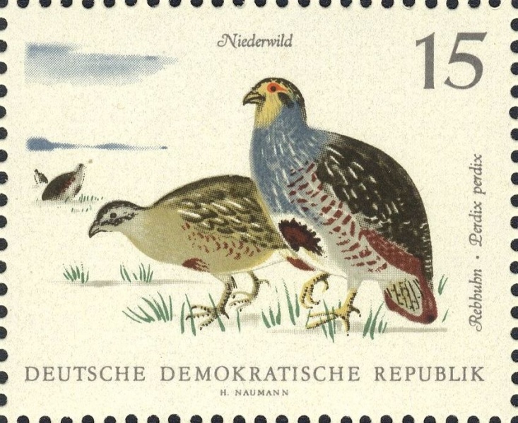 Datei:Ddr1358.1.big.jpg