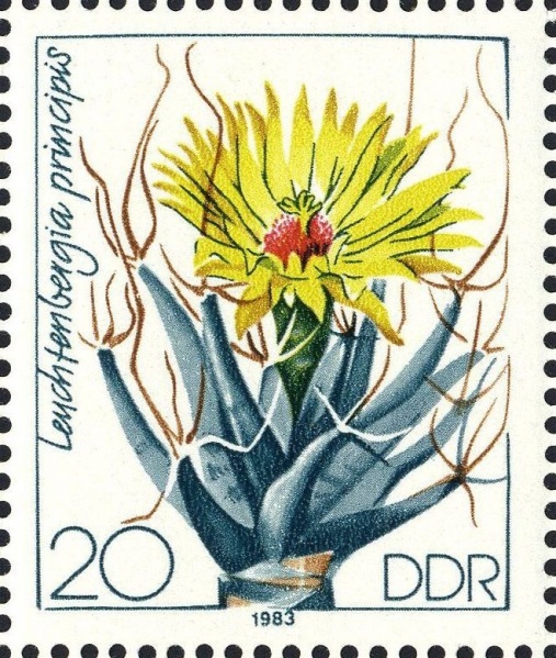 Datei:Ddr2804.1.big.jpg