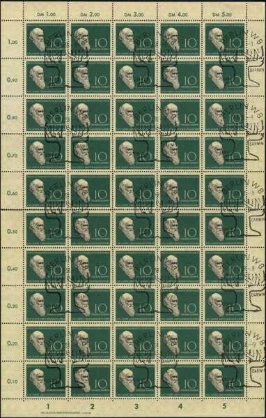 Datei:Ddr0631.1.small bg1.jpg