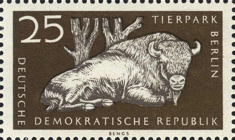 Datei:Ddr0555.6.big.jpg