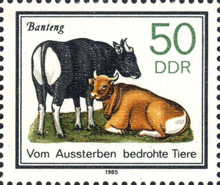Datei:Ddr2955.2.big.jpg
