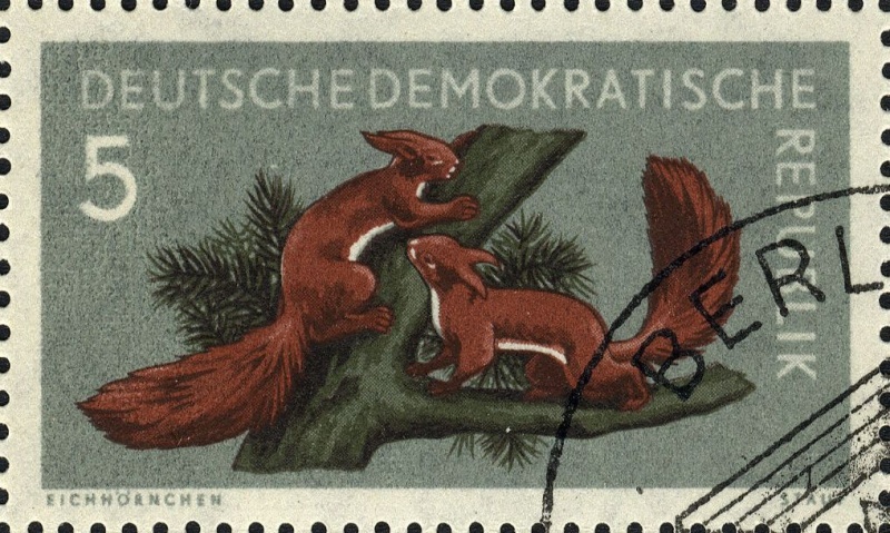 Datei:Ddr0737.8.big.jpg