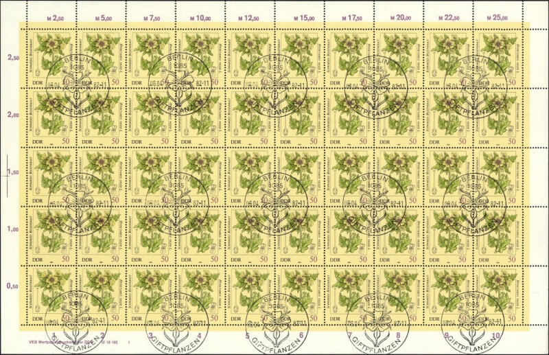 Datei:Ddr2696.2.small bg1.jpg