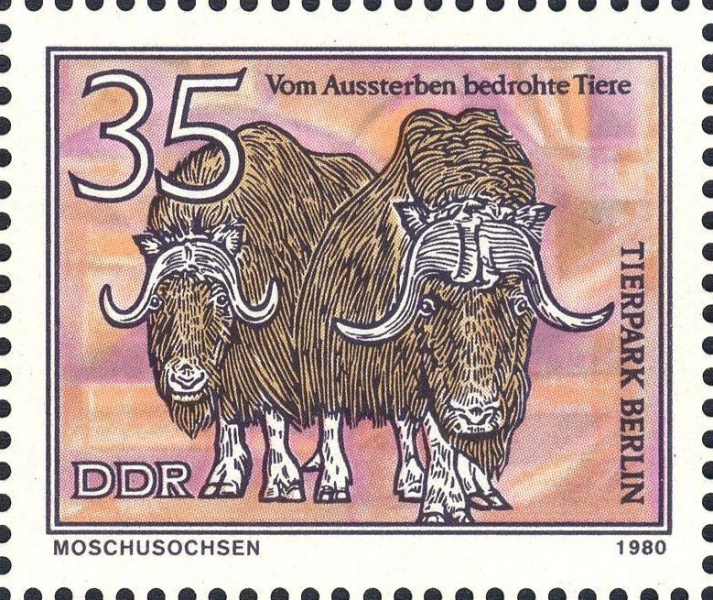 Datei:Ddr2527.1.big.jpg