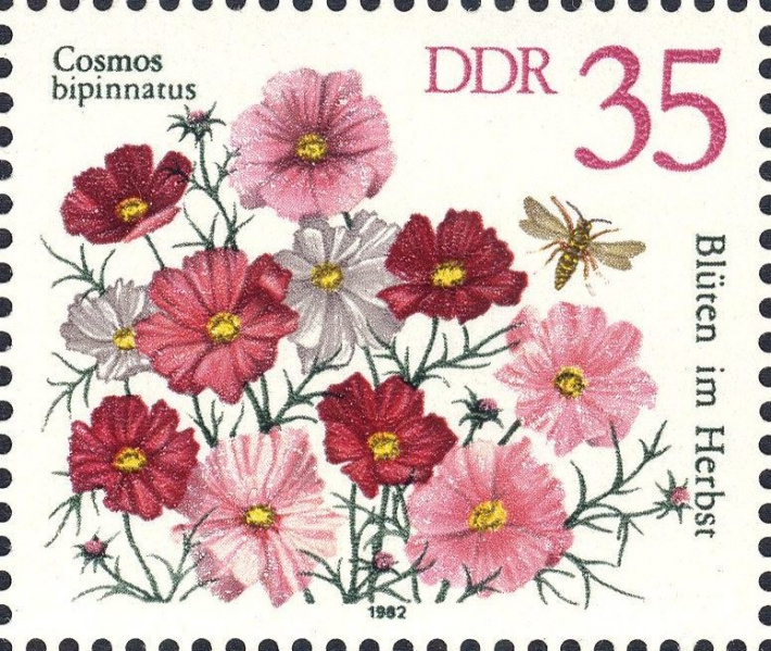 Datei:Ddr2742.1.big.jpg