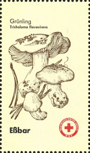 Datei:Ddr drksms0008.1.f10.big.jpg